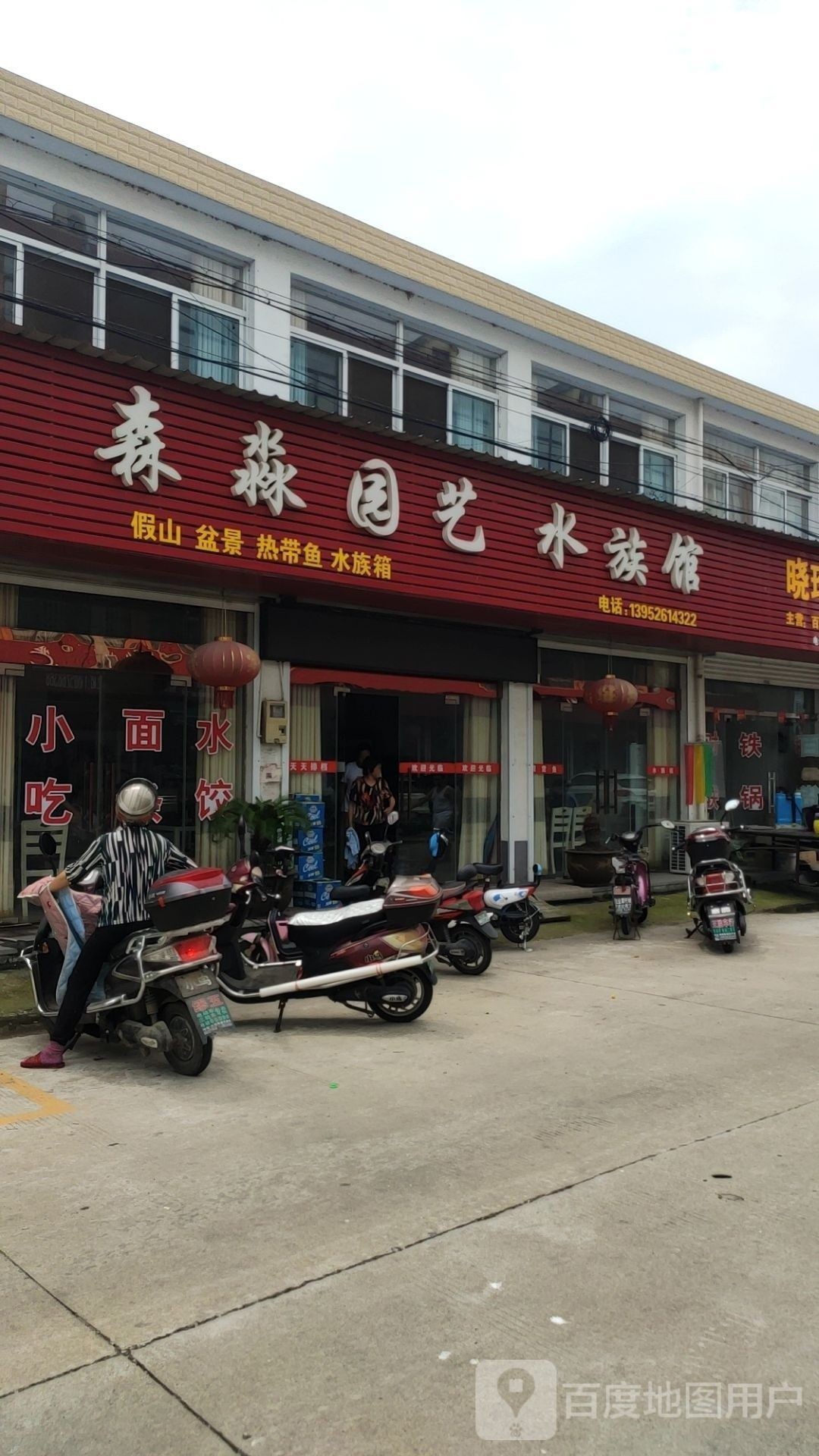 姜堰開(kāi)水族店怎么樣？加盟祥龍魚(yú)場(chǎng)賣龍魚(yú)市場(chǎng)怎樣？ 姜堰開(kāi)水族店怎么樣？加盟祥龍魚(yú)場(chǎng)賣龍魚(yú)市場(chǎng)怎樣？ 水族館百科（水族館加盟） 第3張