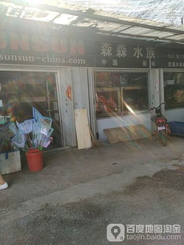 安丘開水族店怎么樣？加盟祥龍魚場賣龍魚市場怎樣？