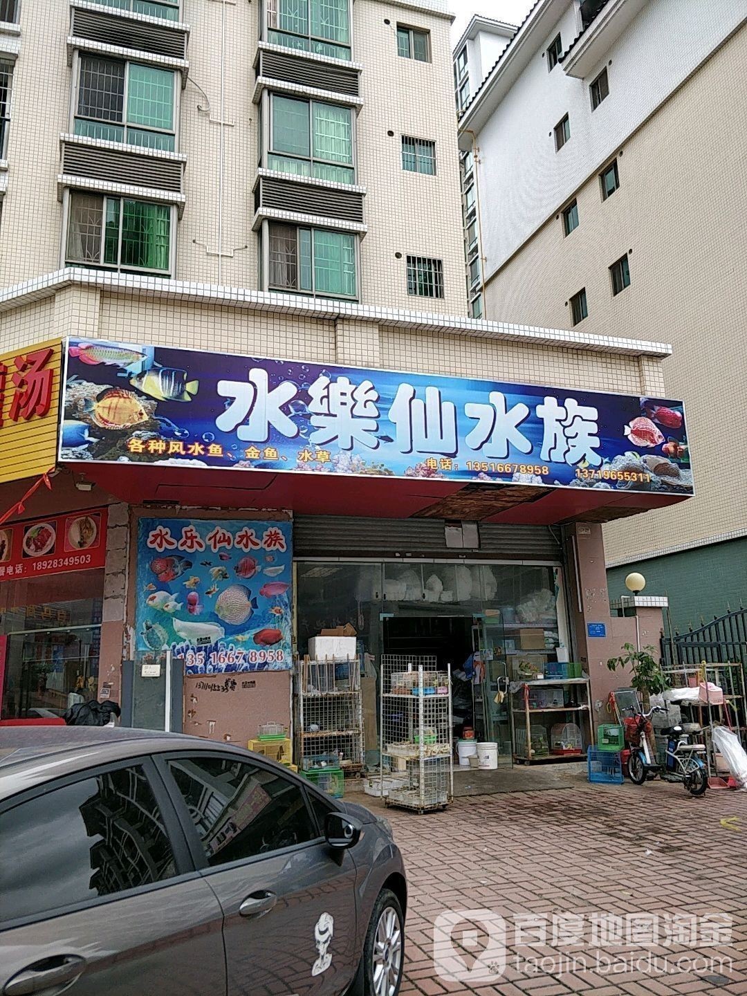 北市開水族店怎么樣？加盟祥龍魚場賣龍魚市場怎樣？