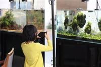 梁園開水族店怎么樣？加盟祥龍魚場賣龍魚市場怎樣？