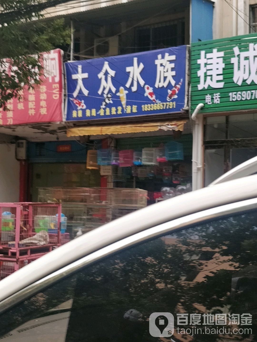 城東開水族店怎么樣？加盟祥龍魚場賣龍魚市場怎樣？