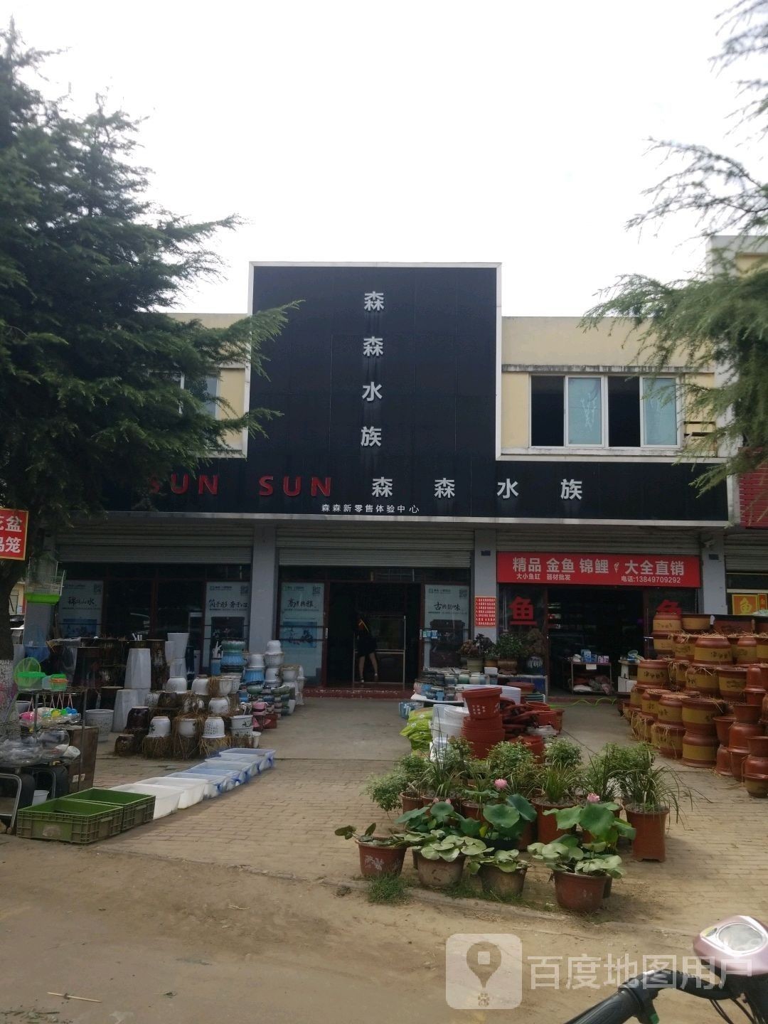城東開水族店怎么樣？加盟祥龍魚場賣龍魚市場怎樣？