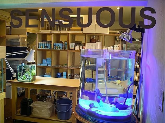 包頭開水族店怎么樣？加盟祥龍魚場賣龍魚市場怎樣？