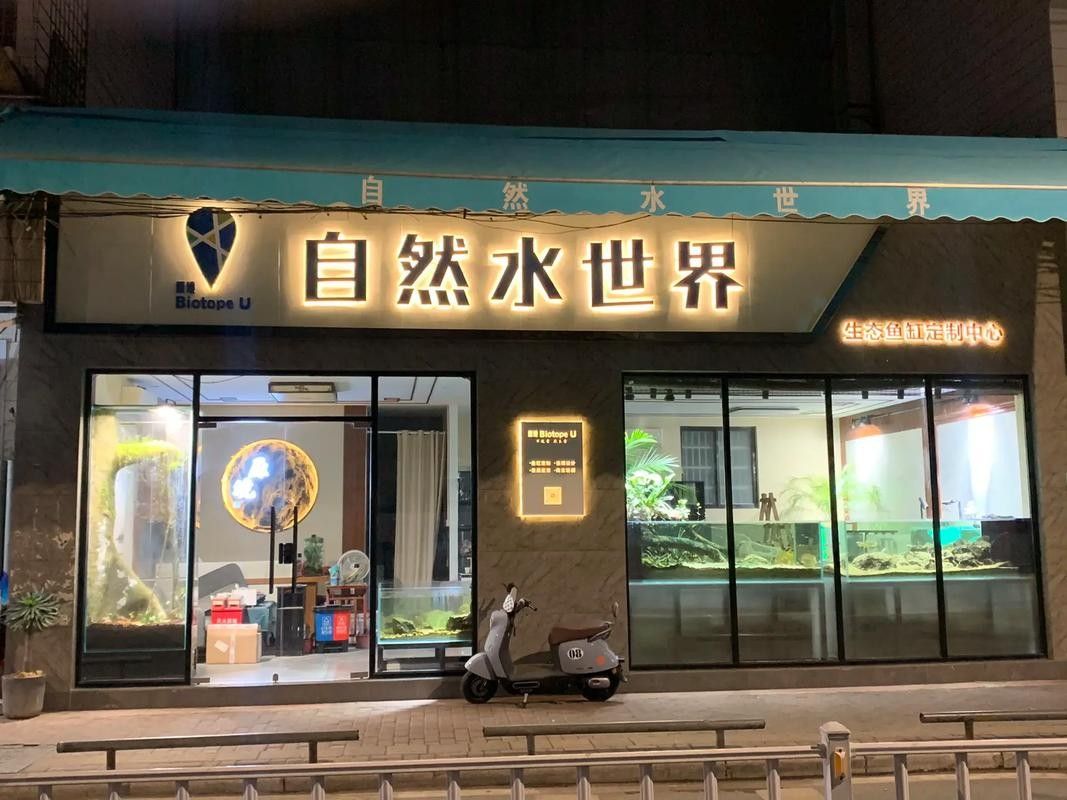 浠水開水族店怎么樣？加盟祥龍魚場賣龍魚市場怎樣？