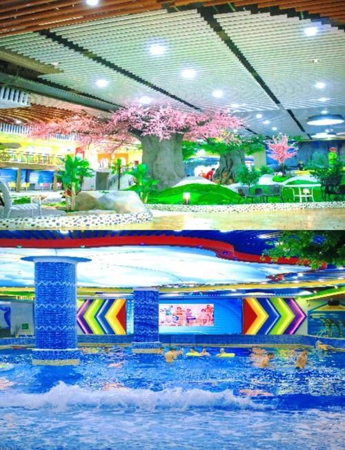 鄂爾多斯開水族店怎么樣？加盟祥龍魚場(chǎng)賣龍魚市場(chǎng)怎樣？