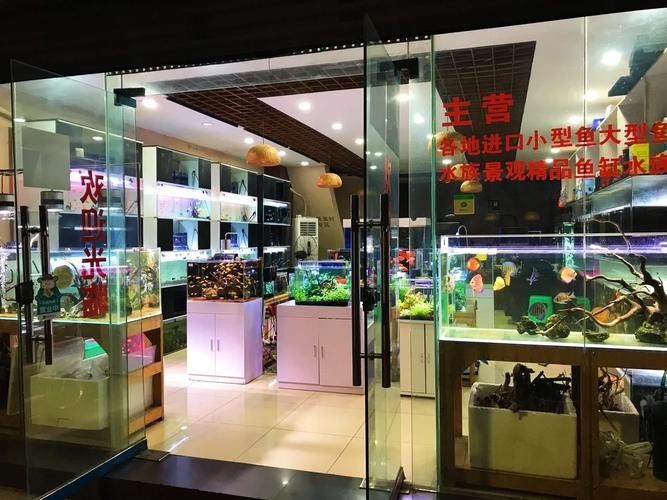 塔河開水族店怎么樣？加盟祥龍魚場賣龍魚市場怎樣？