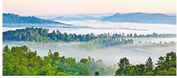 伊春開水族店怎么樣？加盟祥龍魚場賣龍魚市場怎樣？