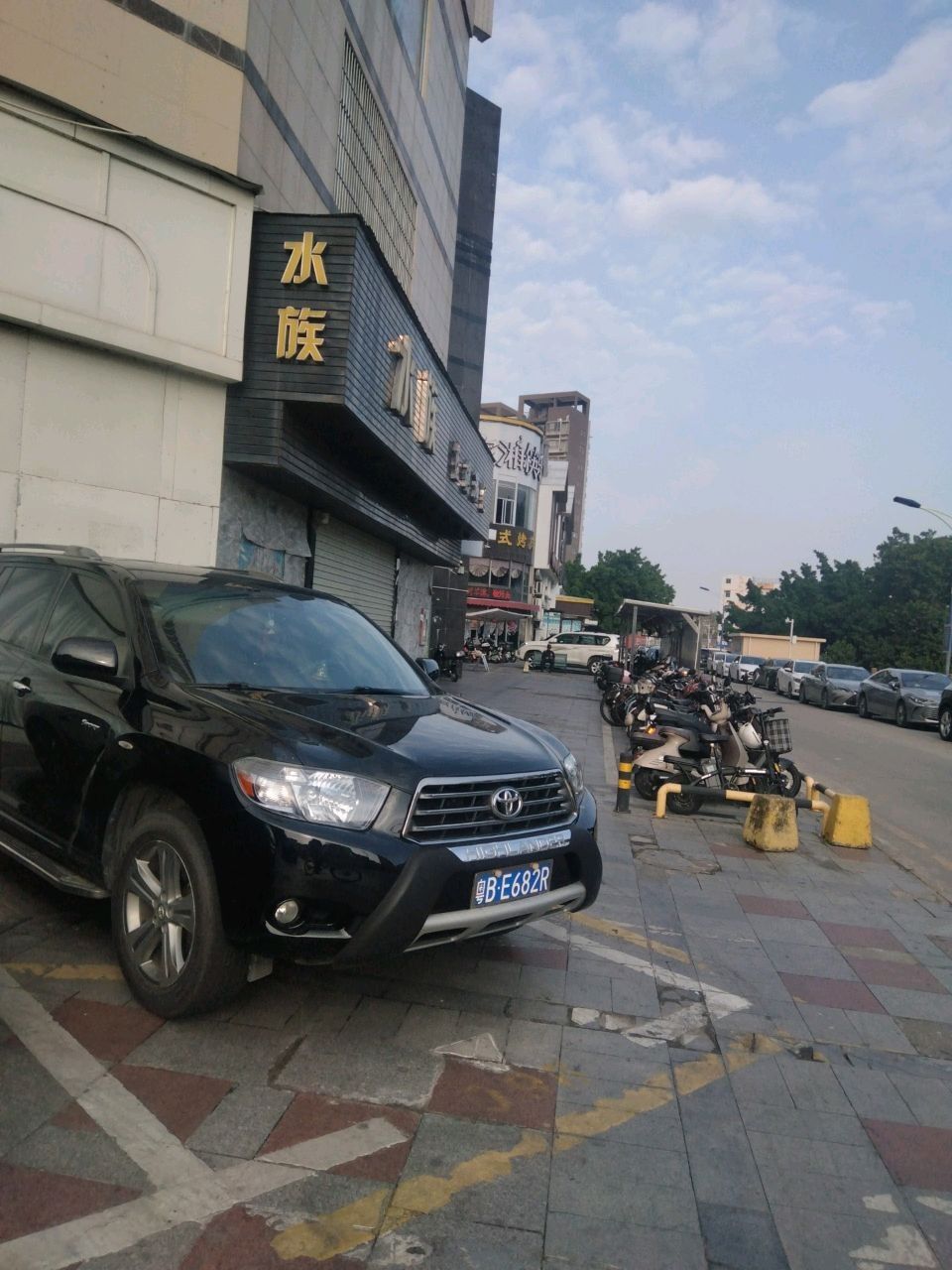 坪山開水族店怎么樣？加盟祥龍魚場賣龍魚市場怎樣？
