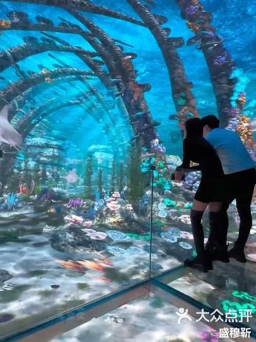 石峰開水族店怎么樣？加盟祥龍魚場賣龍魚市場怎樣？