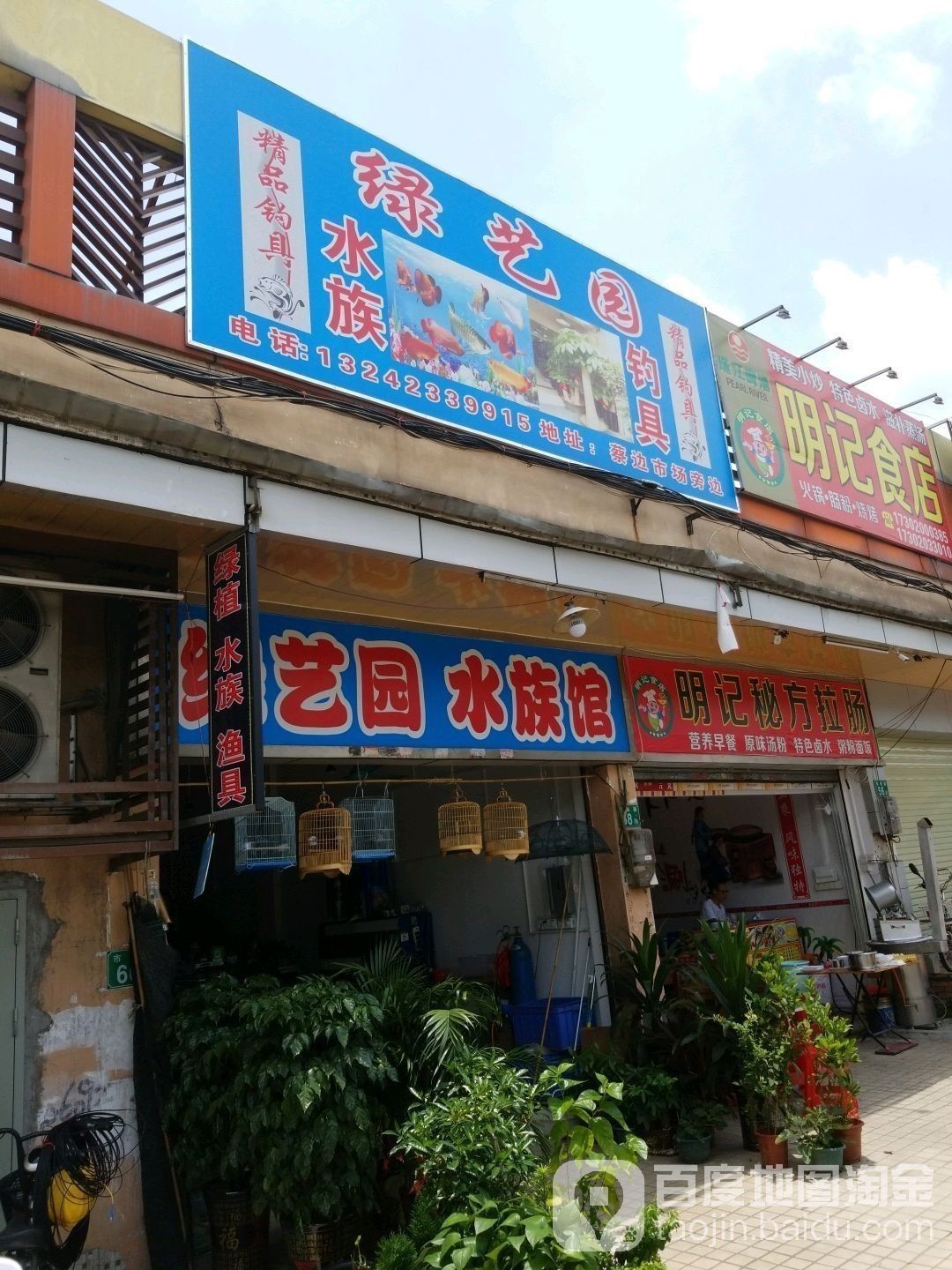 綠園開水族店怎么樣？加盟祥龍魚場賣龍魚市場怎樣？