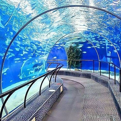 淇濱開水族店怎么樣？加盟祥龍魚場賣龍魚市場怎樣？