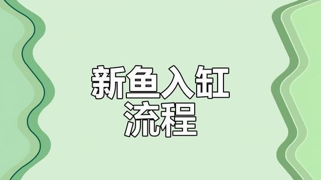 金龍魚過水的正確方法