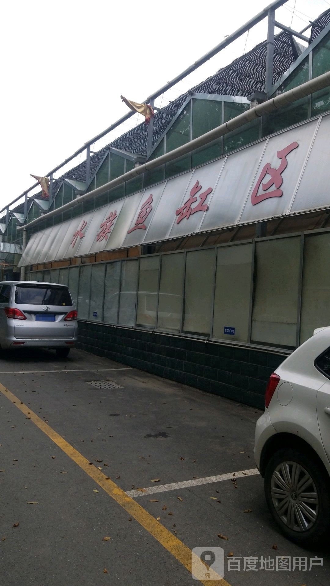 新蔡開水族店怎么樣？加盟祥龍魚場賣龍魚市場怎樣？