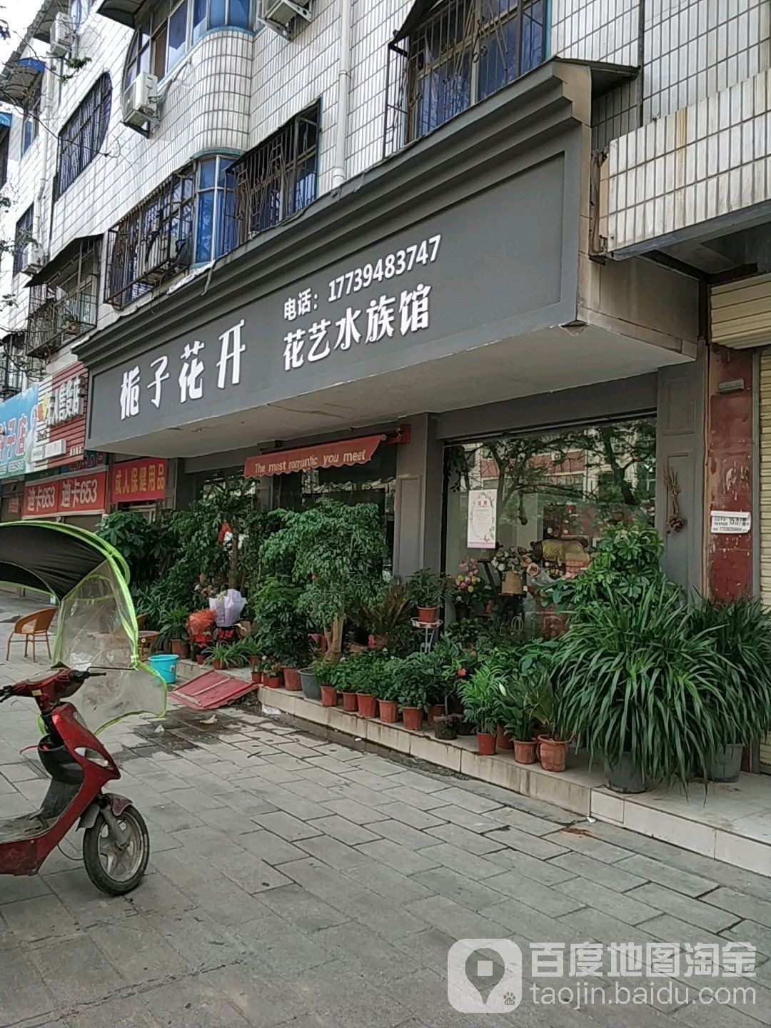 新蔡開水族店怎么樣？加盟祥龍魚場賣龍魚市場怎樣？