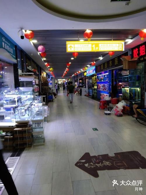 廣州百藝城祥龍魚場位置圖高清
