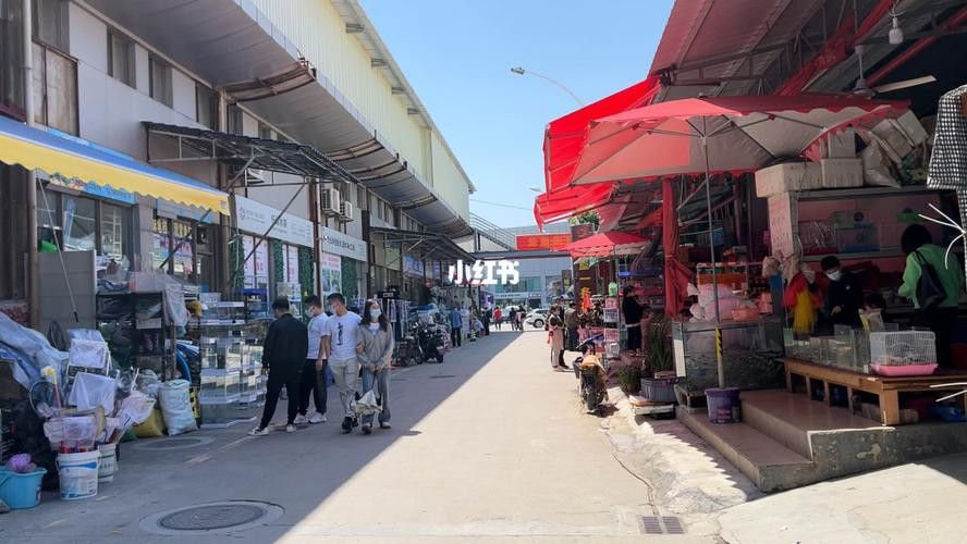 廣州百藝城祥龍魚場位置圖高清