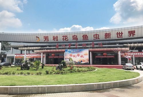 廣州百藝城祥龍魚場位置圖高清