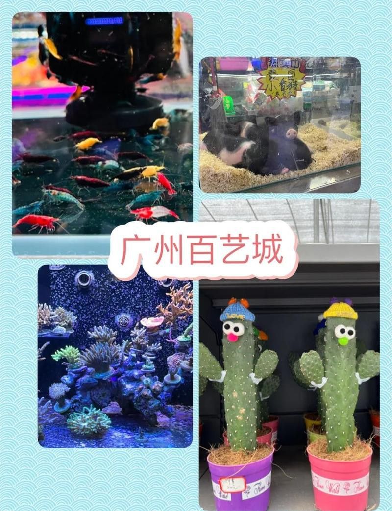廣州百藝城祥龍魚場位置圖高清