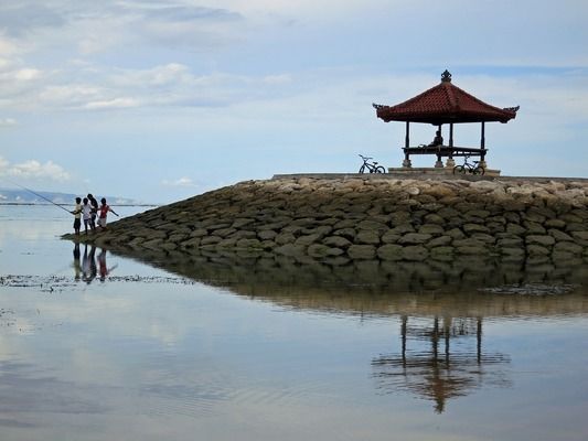 細(xì)線銀板魚苗混養(yǎng)常見問題：細(xì)線銀板魚苗在混養(yǎng)時(shí)可能會(huì)遇到的常見問題是與其他魚種的兼容性
