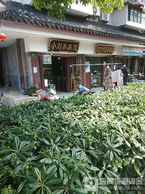 長寧開水族店怎么樣？加盟祥龍魚場賣龍魚市場怎樣？