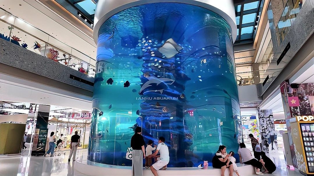 東鄉開水族店怎么樣？加盟祥龍魚場賣龍魚市場怎樣？