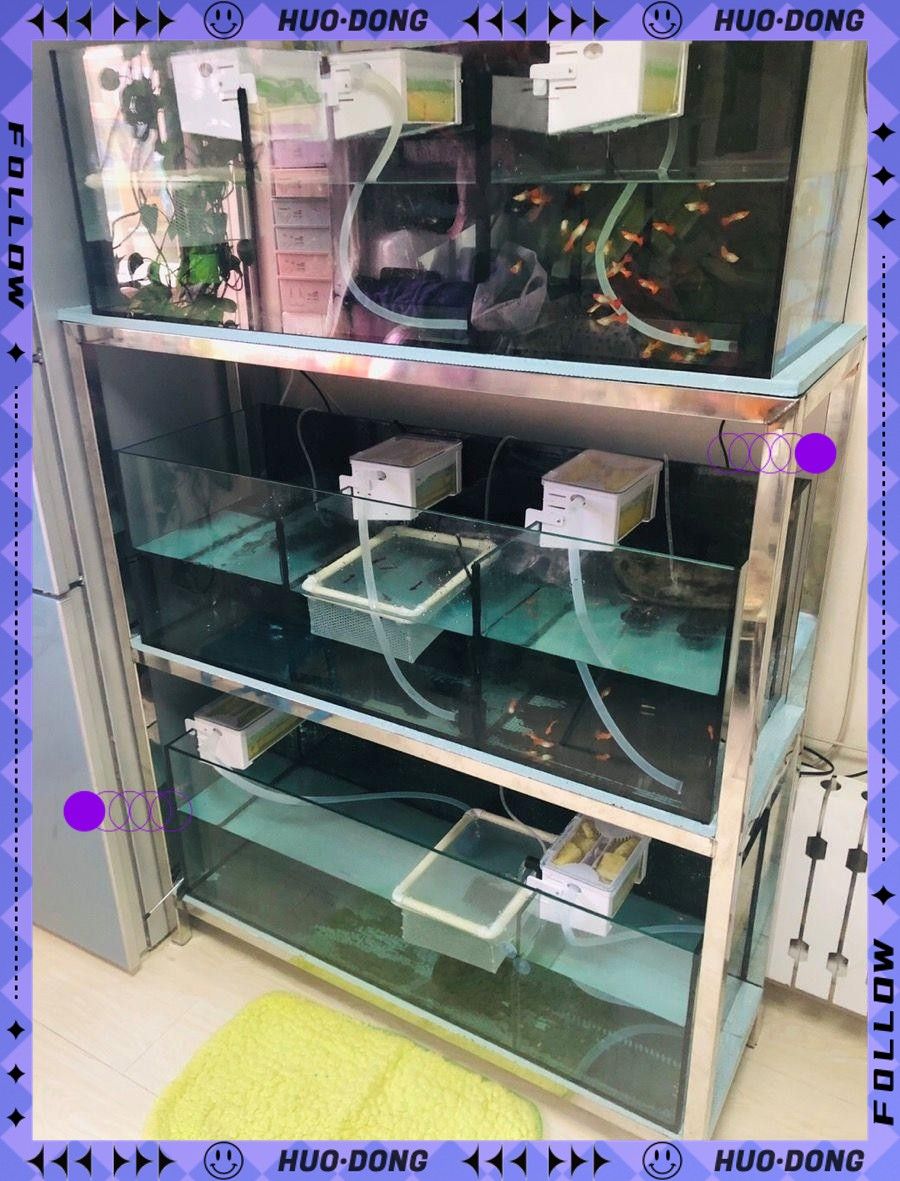 龍魚缸上過濾器怎么用