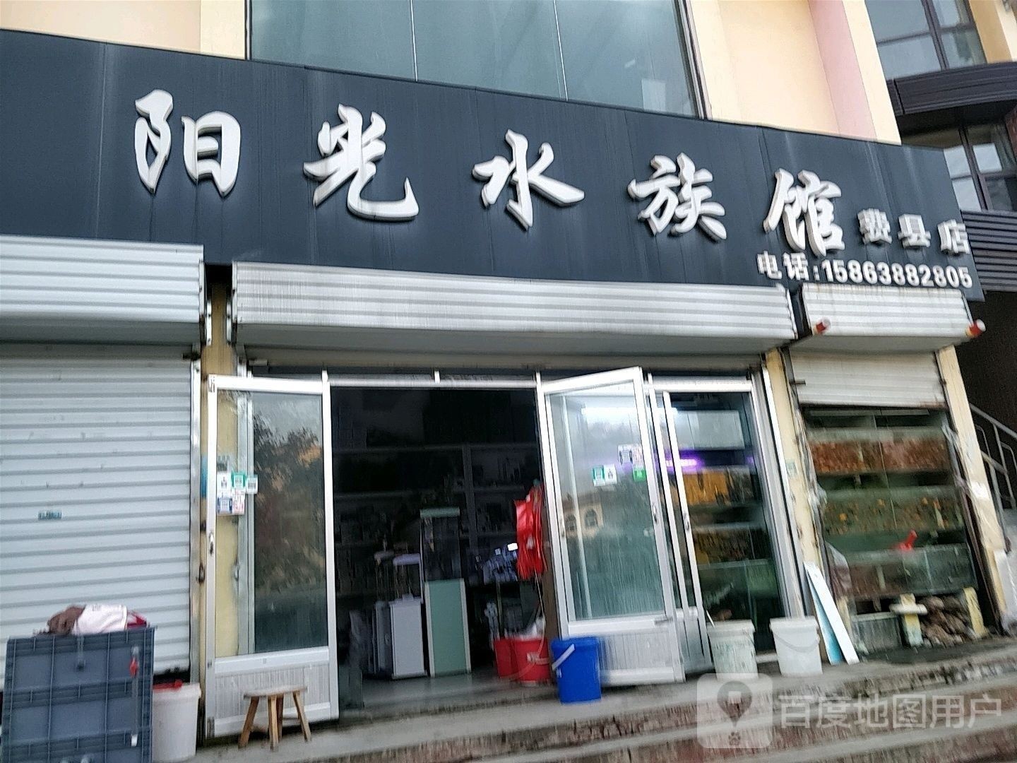 費縣開水族店怎么樣？加盟祥龍魚場賣龍魚市場怎樣？