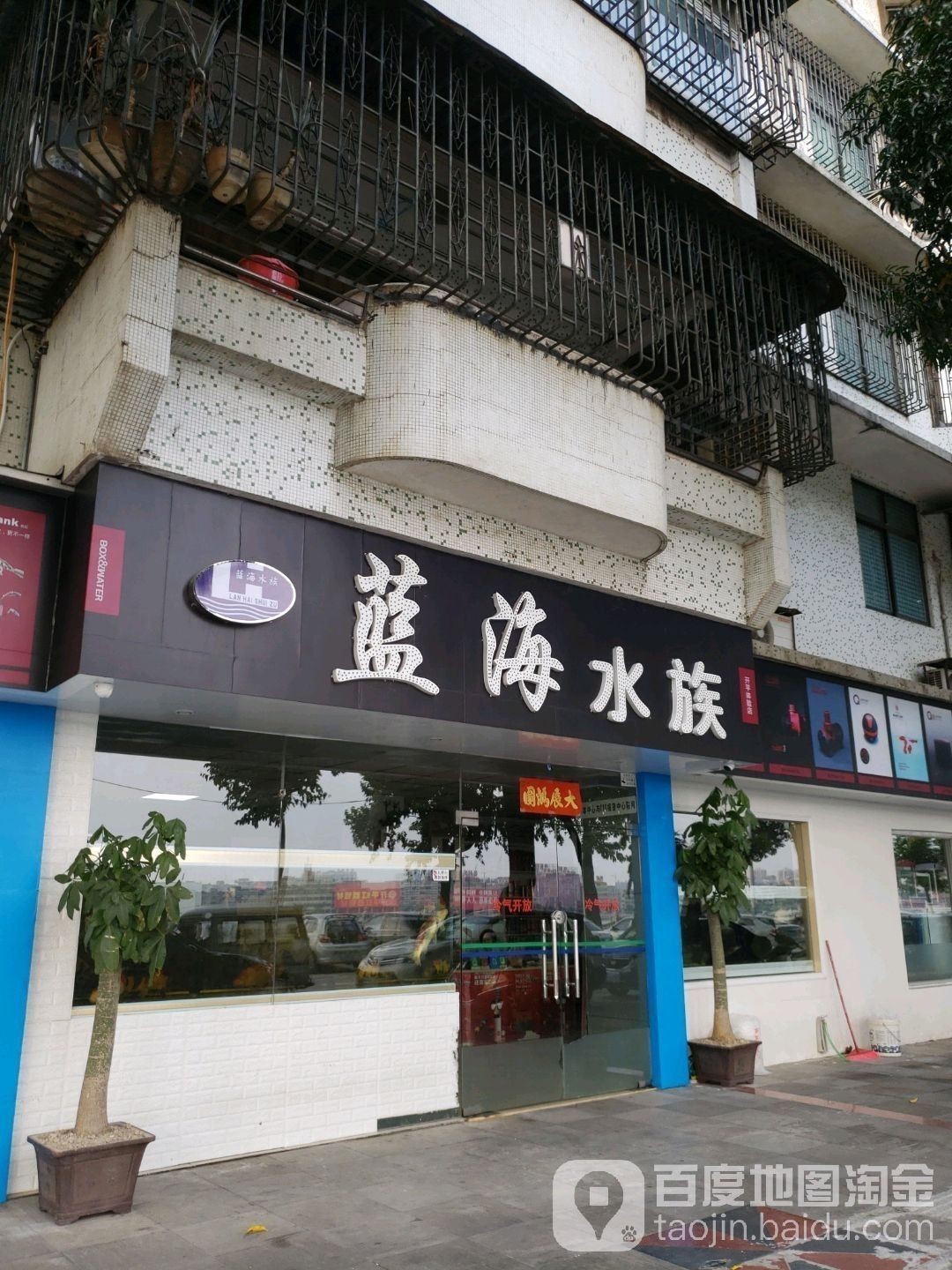 恩平開水族店怎么樣？加盟祥龍魚場賣龍魚市場怎樣？