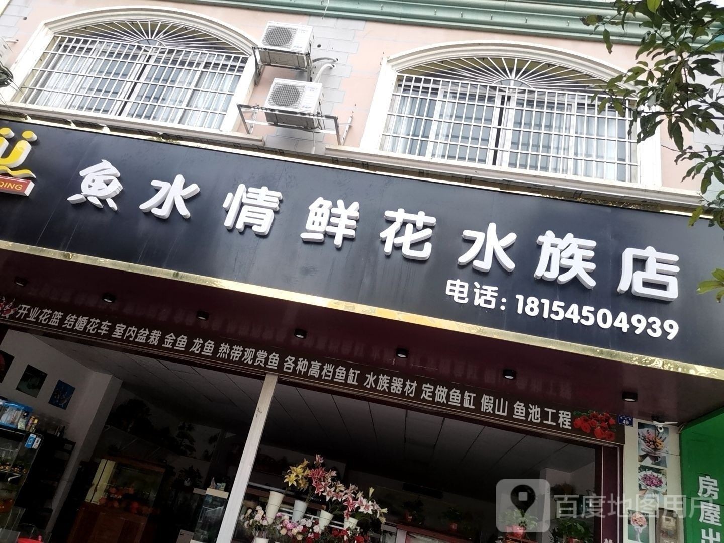 賓陽(yáng)開(kāi)水族店怎么樣？加盟祥龍魚(yú)場(chǎng)賣(mài)龍魚(yú)市場(chǎng)怎樣？