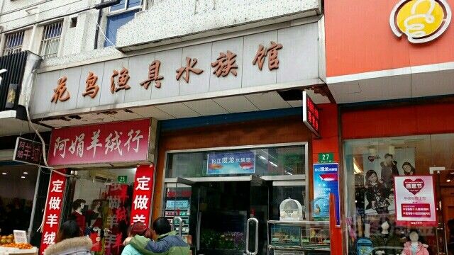 松江開水族店怎么樣？加盟祥龍魚場賣龍魚市場怎樣？