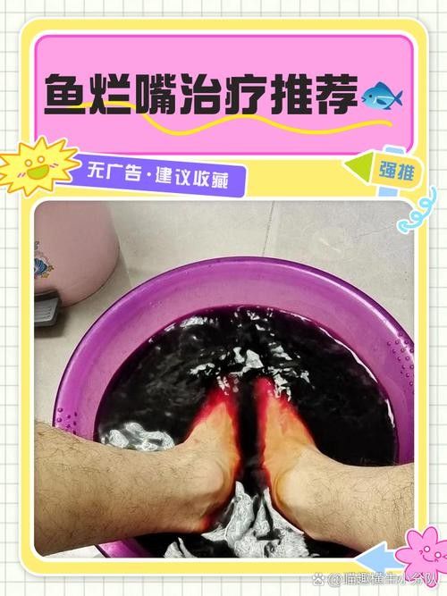 龍魚爛尾爛嘴怎么治療方法圖解