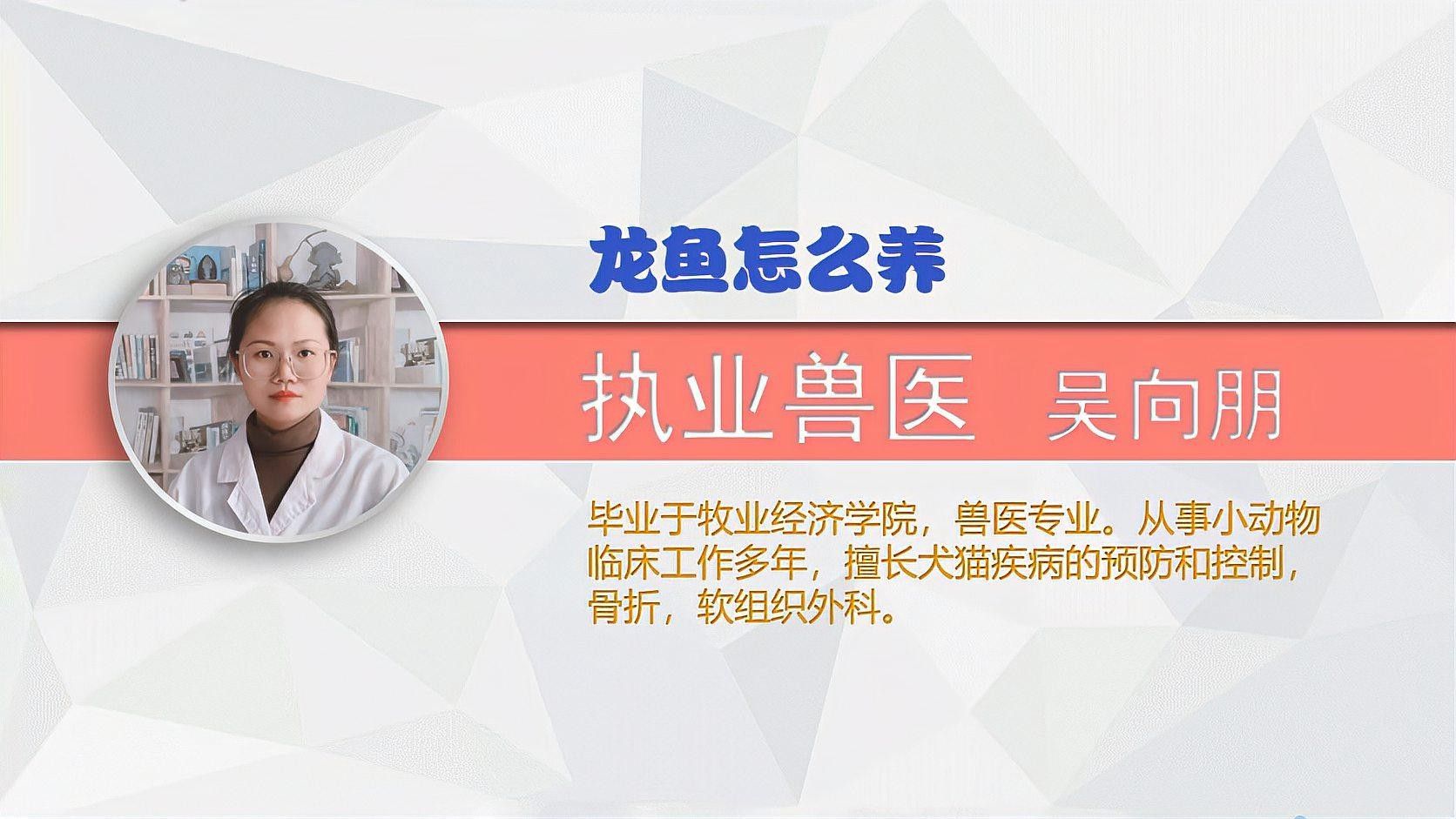 未央開水族店怎么樣？加盟祥龍魚場賣龍魚市場怎樣？