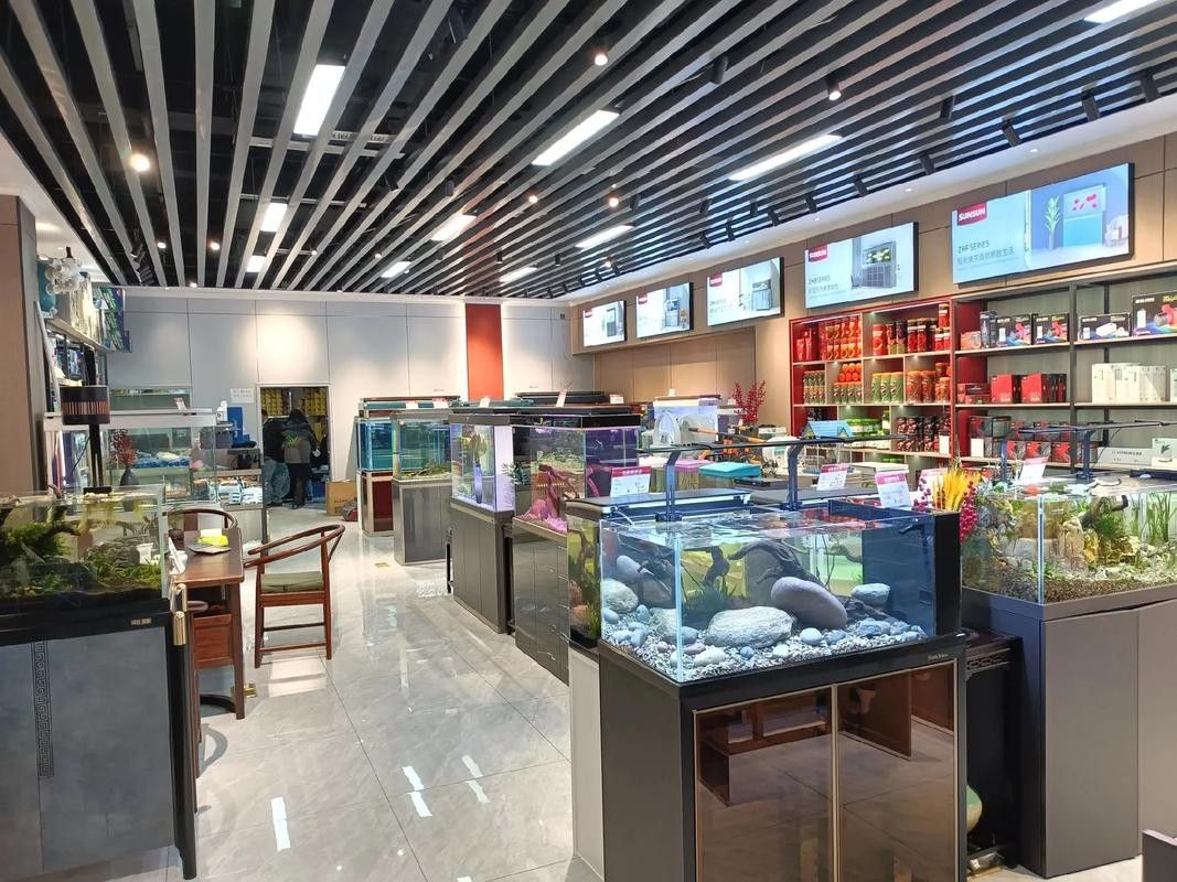 未央開水族店怎么樣？加盟祥龍魚場賣龍魚市場怎樣？