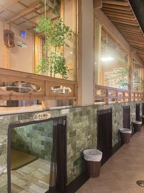 龍勝各族開水族店怎么樣？加盟祥龍魚場賣龍魚市場怎樣？