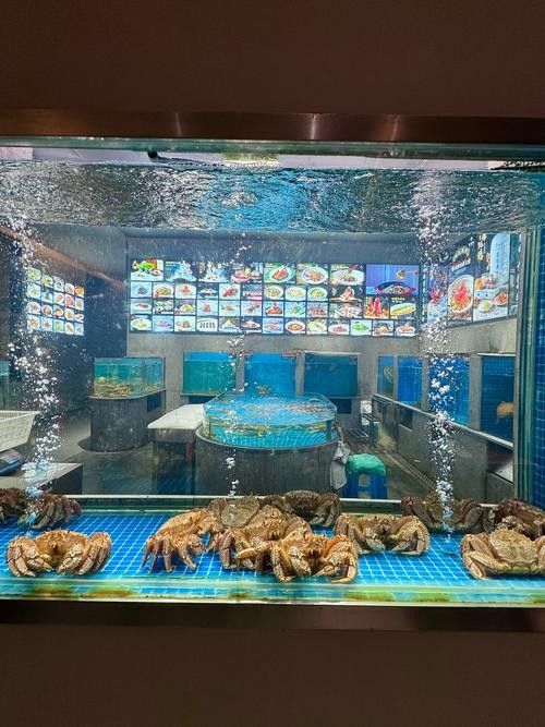巴音布魯克開水族店怎么樣？加盟祥龍魚場賣龍魚市場怎樣？