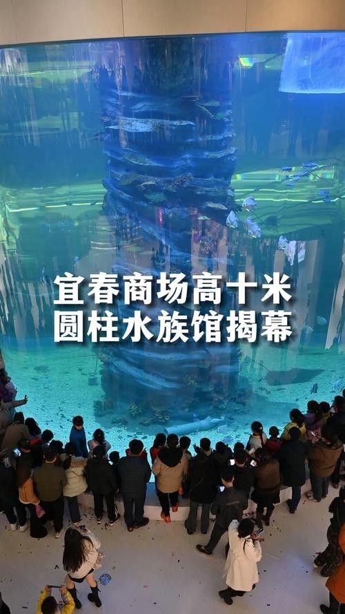 宜春開水族店怎么樣？加盟祥龍魚場賣龍魚市場怎樣？