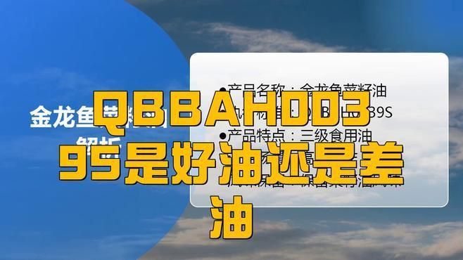 金龍魚哪種油最好吃