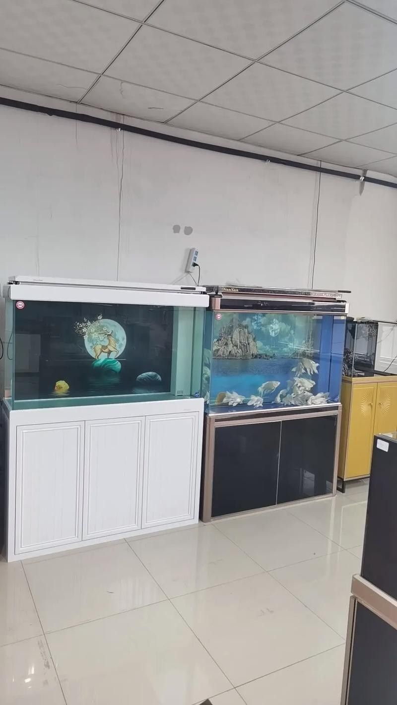 徐水開水族店怎么樣？加盟祥龍魚場賣龍魚市場怎樣？
