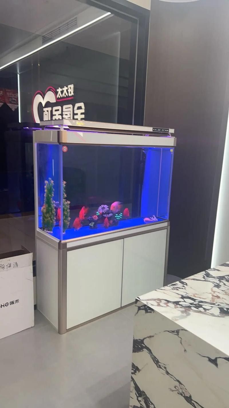 清城開水族店怎么樣？加盟祥龍魚場賣龍魚市場怎樣？ 清城開水族店怎么樣？加盟祥龍魚場賣龍魚市場怎樣？ 水族館百科（水族館加盟） 第2張