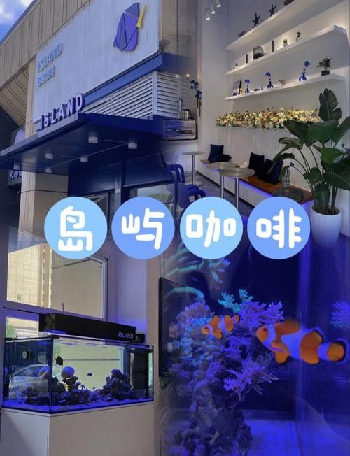 清城開水族店怎么樣？加盟祥龍魚場賣龍魚市場怎樣？ 清城開水族店怎么樣？加盟祥龍魚場賣龍魚市場怎樣？ 水族館百科（水族館加盟） 第3張