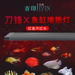 紅龍魚缸燈最佳擺放：紅龍魚燈光的選擇和使用方法