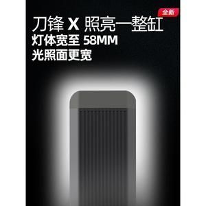 紅龍魚缸燈最佳擺放：紅龍魚燈光的選擇和使用方法
