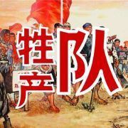 金禾金龍魚是雜牌還是品牌