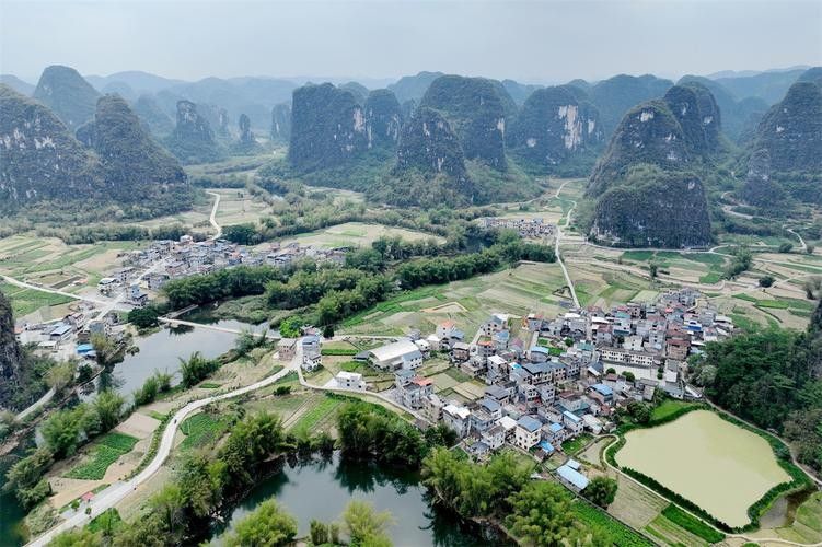 羅城開(kāi)水族店怎么樣？加盟祥龍魚(yú)場(chǎng)賣(mài)龍魚(yú)市場(chǎng)怎樣？ 羅城開(kāi)水族店怎么樣？加盟祥龍魚(yú)場(chǎng)賣(mài)龍魚(yú)市場(chǎng)怎樣？ 水族館百科（水族館加盟） 第2張