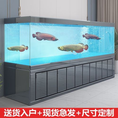 推薦幾款適合過(guò)背金龍的魚(yú)缸品牌