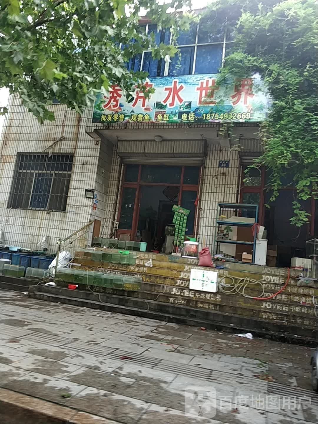蒙陰開水族店怎么樣？加盟祥龍魚場賣龍魚市場怎樣？