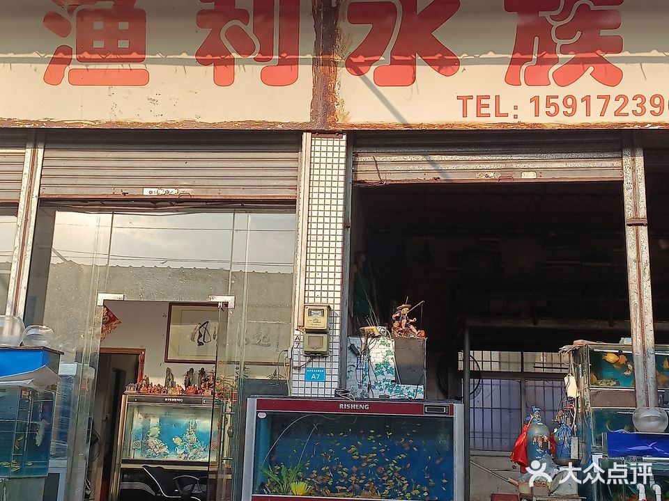 聶拉木開水族店怎么樣？加盟祥龍魚場賣龍魚市場怎樣？