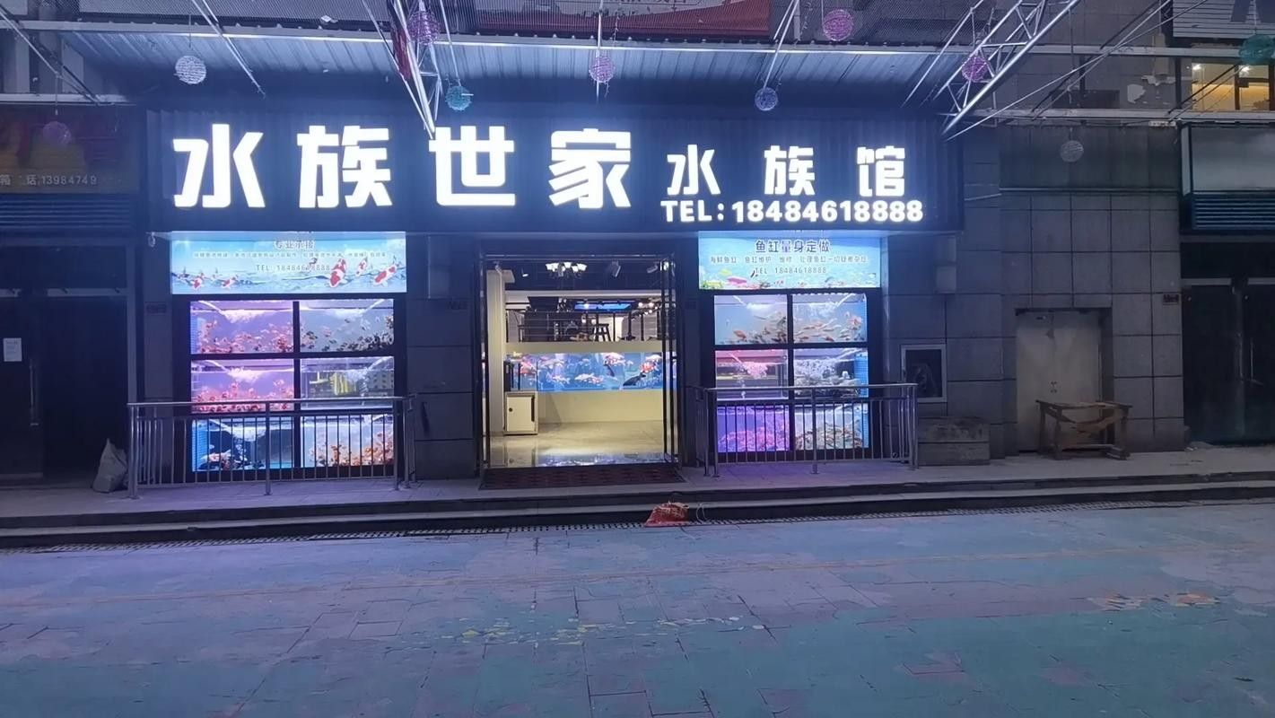 張家口開水族店怎么樣？加盟祥龍魚場賣龍魚市場怎樣？