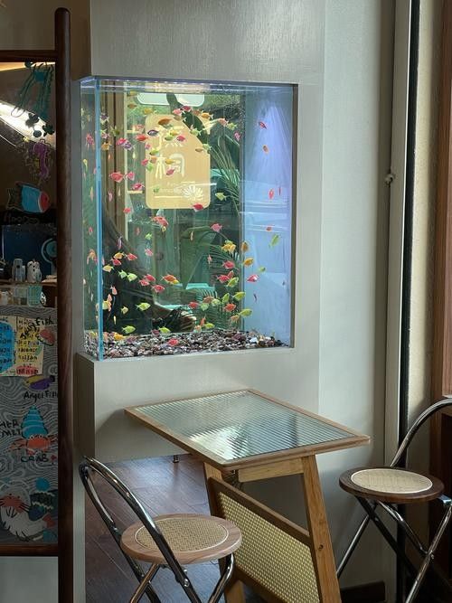 鯉城開水族店怎么樣？加盟祥龍魚場賣龍魚市場怎樣？