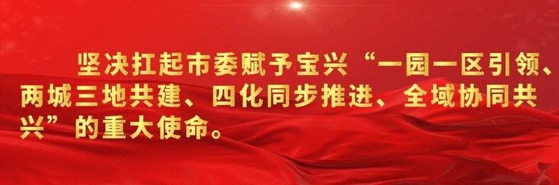 寶興開(kāi)水族店怎么樣？加盟祥龍魚(yú)場(chǎng)賣(mài)龍魚(yú)市場(chǎng)怎樣？